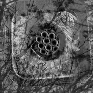 If The World Was Falling Where Would It Go